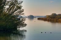 Maartensgat Sud - Dordrecht