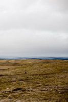 Gletscher in der Ferne