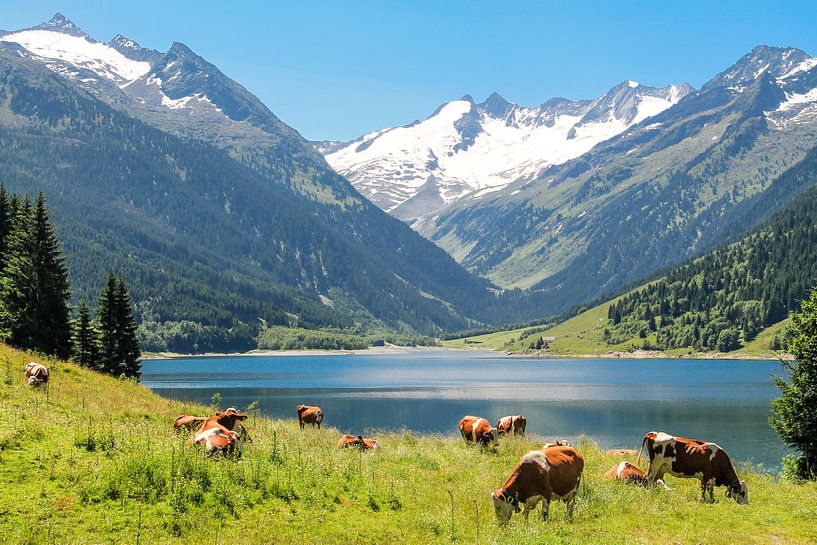 Prachtig Oostenrijk  by Ronald De Neve