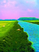 Broedende zwaan aan waterkant