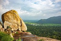 Een rots in de jungle van Sri Lanka