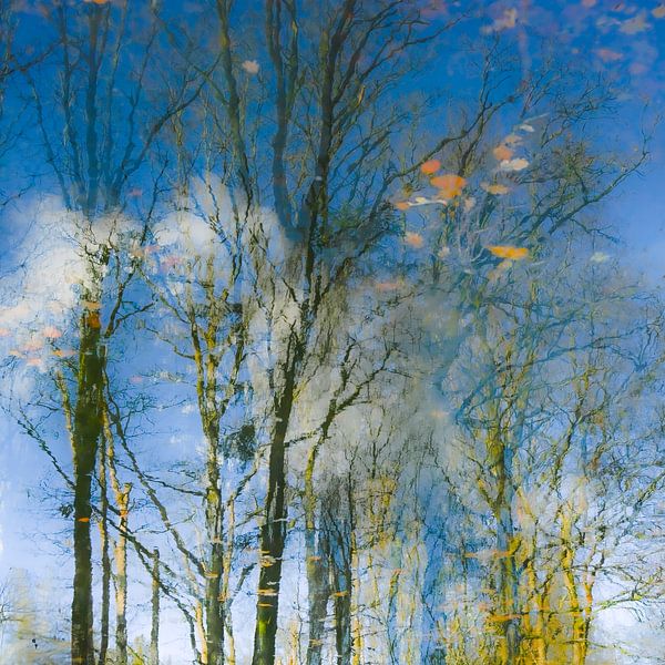 Marvel von Monique van Velzen