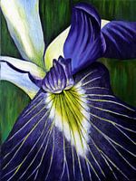 Divine - a divine flower