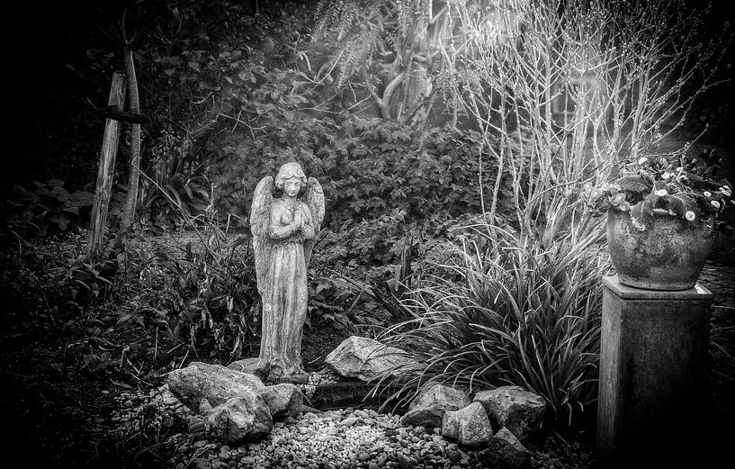 Angel in Paradise by nol ploegmakers