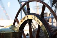 Roer van de Cisne Branco