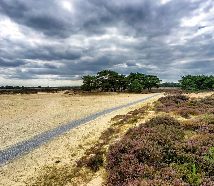 Radweg in den Drenth-Mooren bei bedecktem Sommerhimmel. von John Duurkoop
