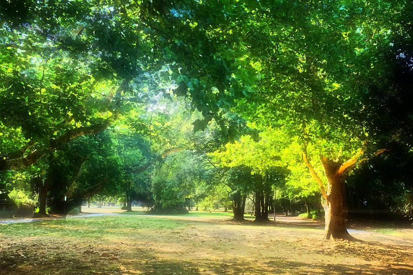 Traumlicht van Edgar Schermaul