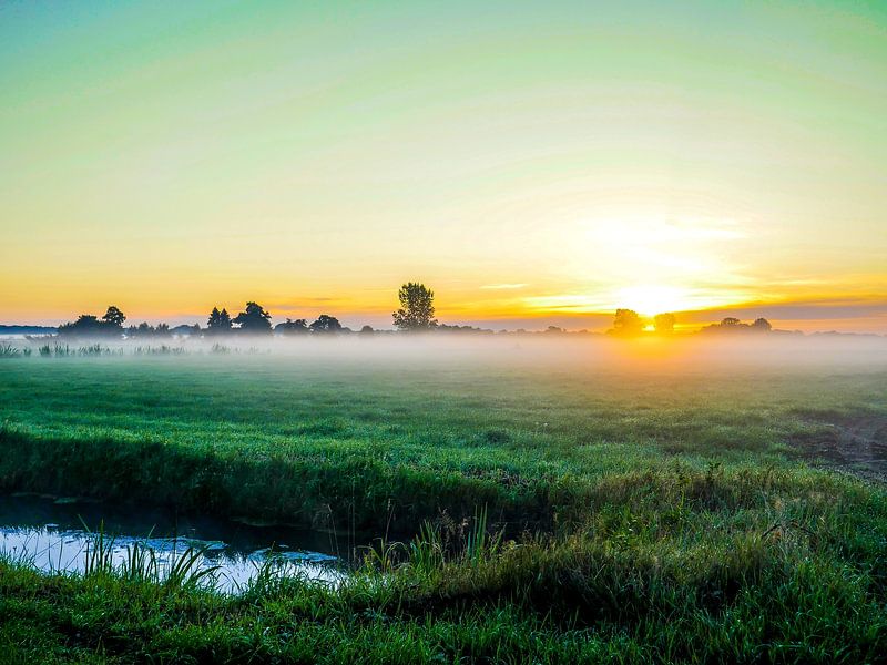 Foggy morning by snippefotografie
