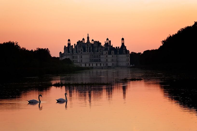 Zwanen bij zonsondergang van Esther Maria