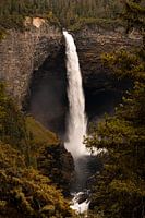 Helmcken Falls : spectacle naturel dans le parc provincial de Wells Gray