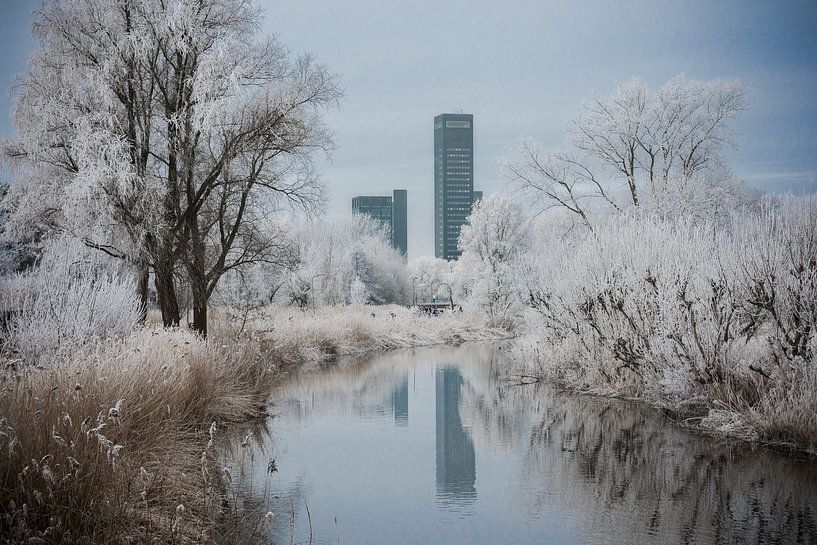 Magisch Leeuwarden  von AnyTiff (Tiffany Peters)