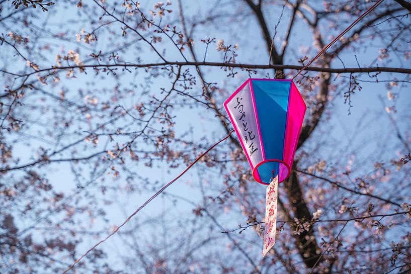 Laterne zwischen den Blüten von Mickéle Godderis