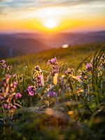 Sunset from the Hohneck in the Vosges mountains, France