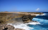 Washington Slagbaai National Park