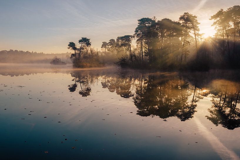 Voorste Goorven Oisterwijk V par Ronne Vinkx