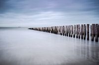 Groynes in Zeeland