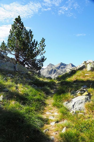 Pyrénées, Pyrénées sauvages, montagne, randonnée, nature, nature sauvage, outdoor, montagne, France, Espagne, paysage de montagne, photographie de paysage, photographie de nature, tableau mural de montagne, impression sur toile nature, Fine Art Print, tableau de nature, aventure, paradis de la nature, envie de voyager, randonnée en montagne, sommet, panorama de montagne, art de la nature, amour de la montagne, liberté, nostalgie de la distance, paysage de montagne, envie de randonnée, art photographique, photographie outdoor, région alpine par Miriam Schwarzfischer Fotografie