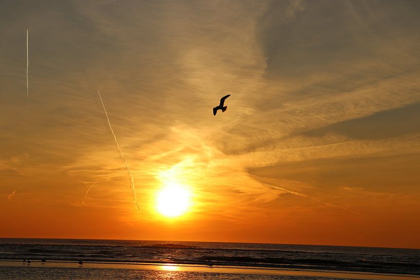  Zandvoort zonsondergang  par Veli Aydin