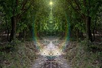 Geheimnisvoller kaleidoskopischer Waldweg