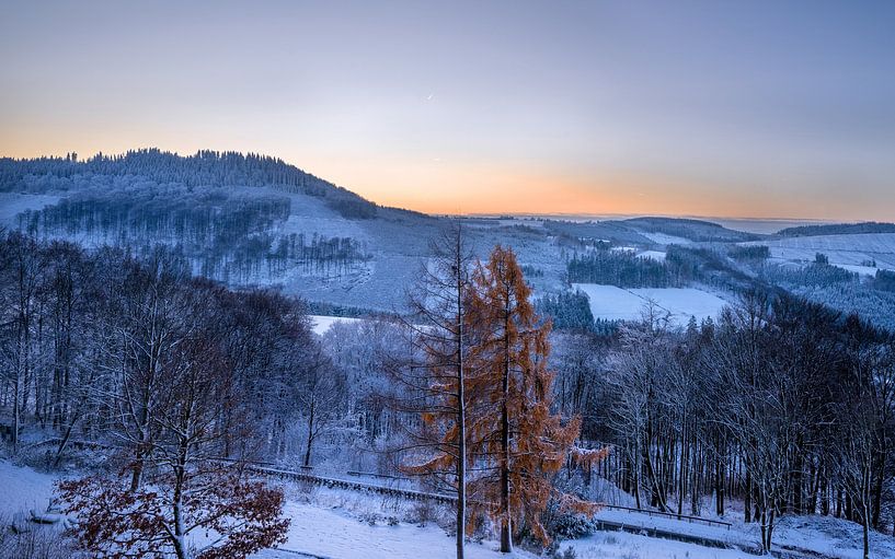 Hoher Knochen, Schmallenberg, Sauerland, Deutschland von Alexander Ludwig