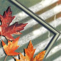 Autumn platinum - herfstachtige warmte ontmoet geometrische lijnen