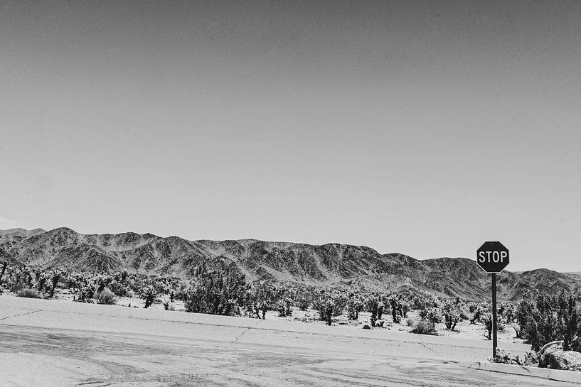 America by KUNSTBLOC | Anca Blok