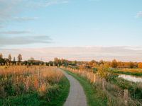 Sonnenuntergang an einem Feldweg zwischen Wiesen entlang der Berkel