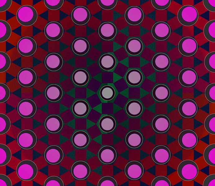 Durch das Gitter von Henk Schellekens