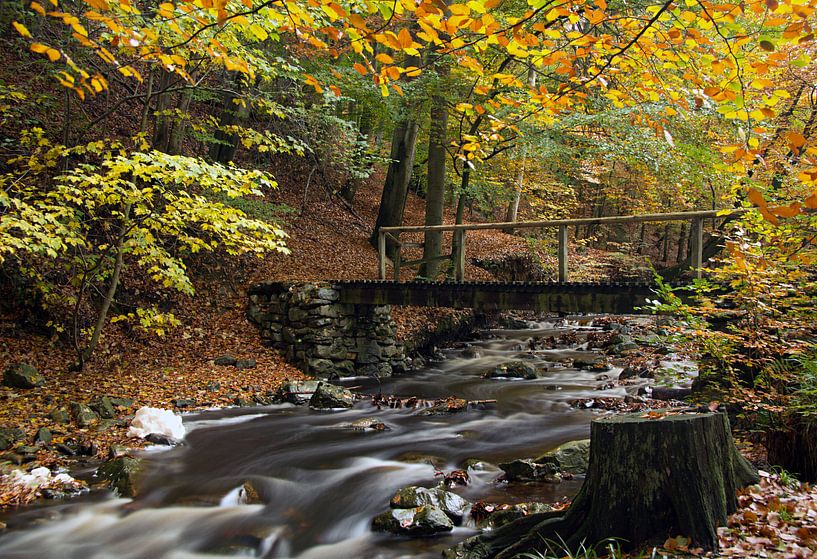 La Hoegne,Ardennen von Patrick Brouwers