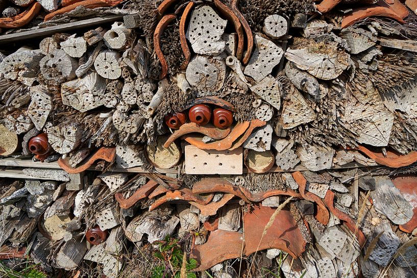 Nahaufnahme Insektenhotel von Lisanne Storm