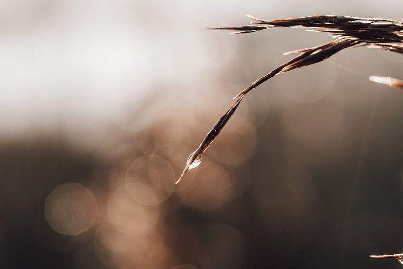 Travail sur le paysage 8 par Nieta Karsten