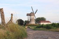 alte Mühle von Denderwindeke