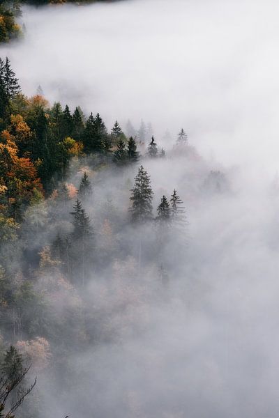 Alps by Marvin Schweer