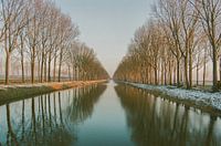 Baumreihe entlang des Staudammkanals im Winter.