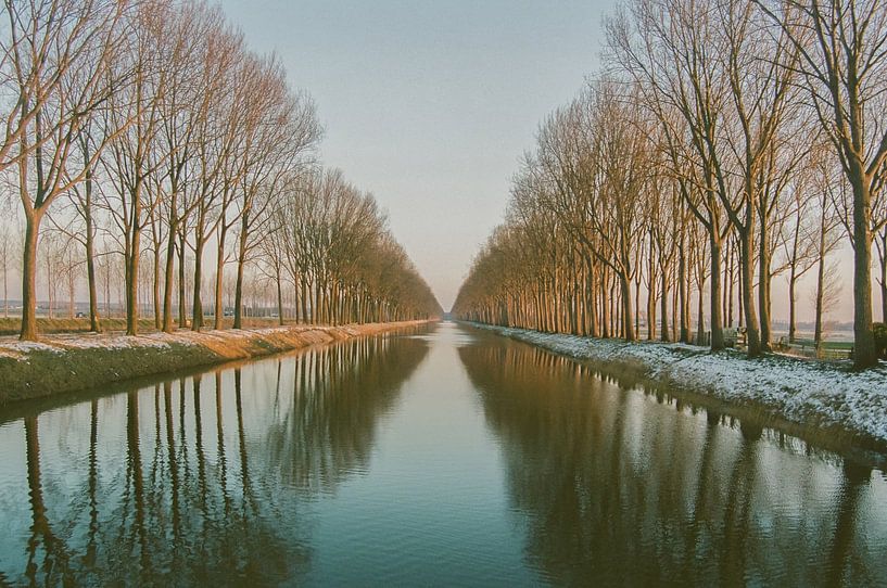 Row of trees along the Dam Canal in winter time. by Kathy Orbie