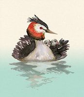 Great Crested grebe with chicks watercolor