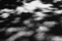 Schatten auf der Straße