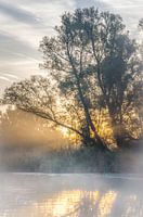 Early autumn morning.