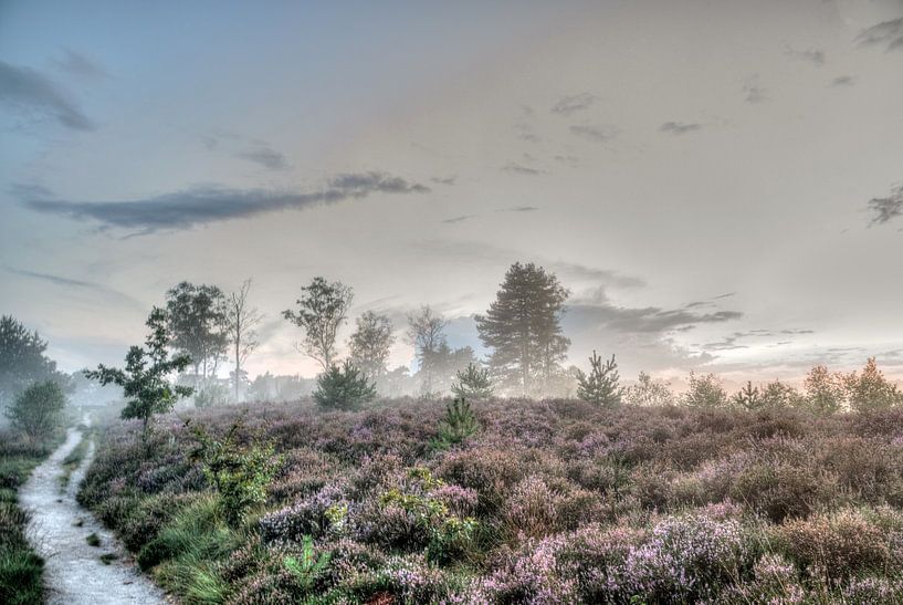 Den Treek Henschoten estate, heathland, ground fog and sunset by Watze D. de Haan