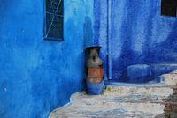 Marokko in Blau - Chefchaouen