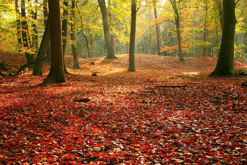 Herbst im Bantam-Anwesen von Shot it fotografie