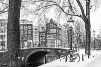 Powder snow on the trees and street lamps on Leidsegracht