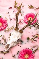 Hirschgeweih - Modern ländlich.