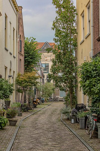 A street in the Hanseatic city of Zwolle, the Netherlands by Eric Wander