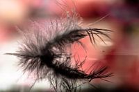 down spring in the water with reflection