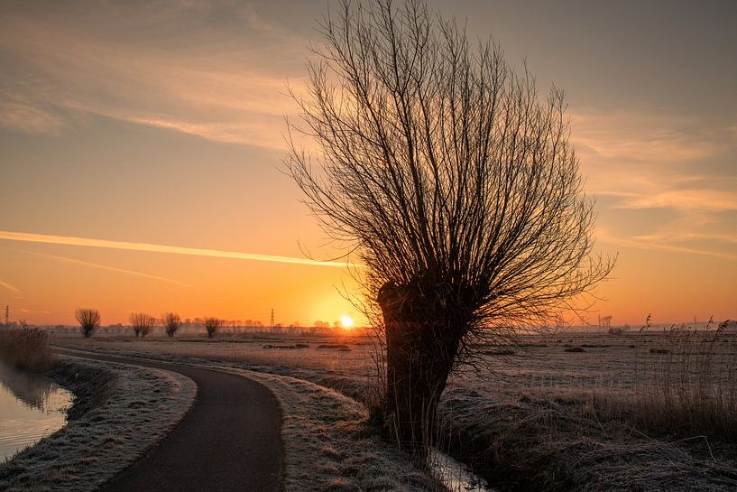 Sunrise with a Pollard Willow in view by Rick van de Kraats