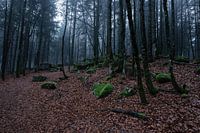 Germany - Black Forest - Günterfelsen