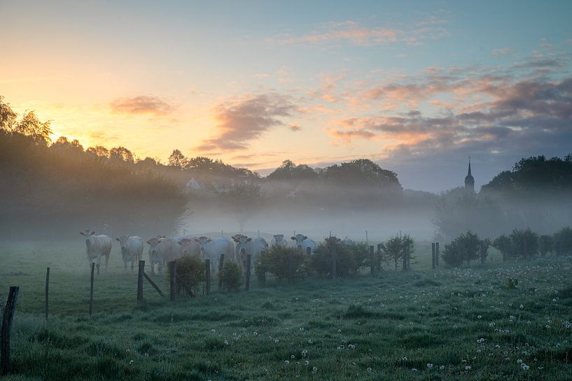 Neugierige Blicke im Nebel von Peter Kuipers