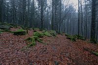 Germany - Black Forest - Günterfelsen