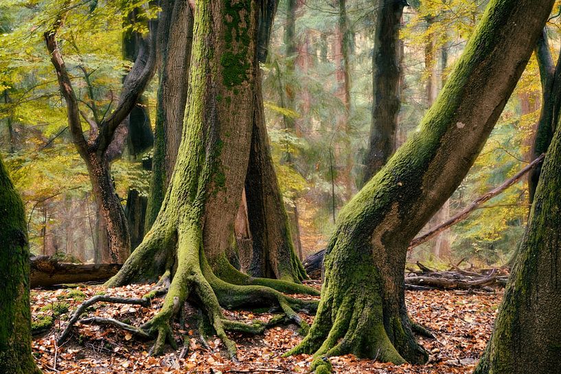 Les danseurs verts par Lars van de Goor